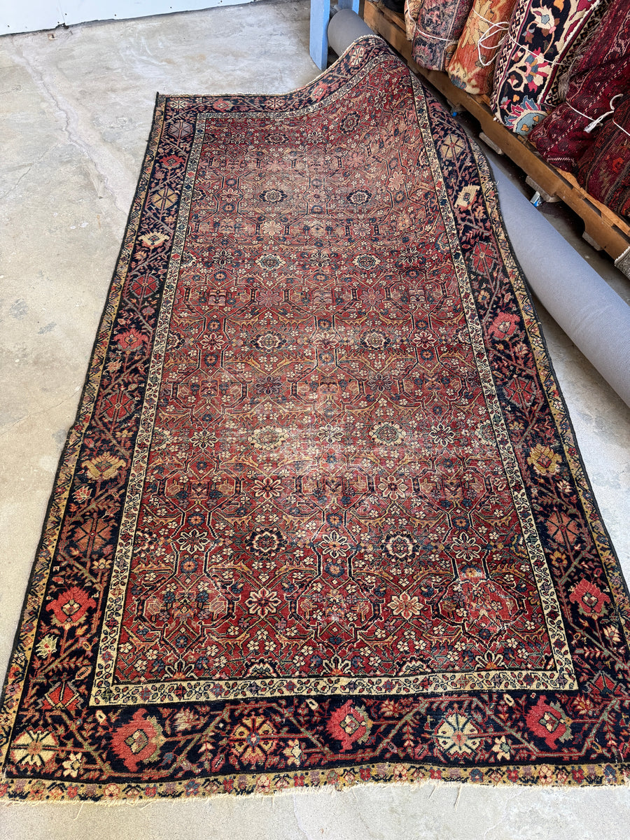 (Iranian Rug )イラン : ラグ 3' 5