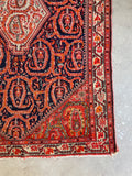 Small Vintage Rug / 3'5 x 5' Antique Persian Senneh Rug #3067ML