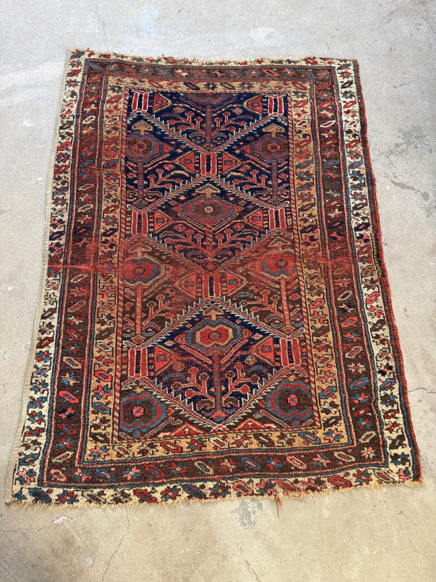 ラグ Afshar rug 1_IMG_7961.jpg?format=2500w