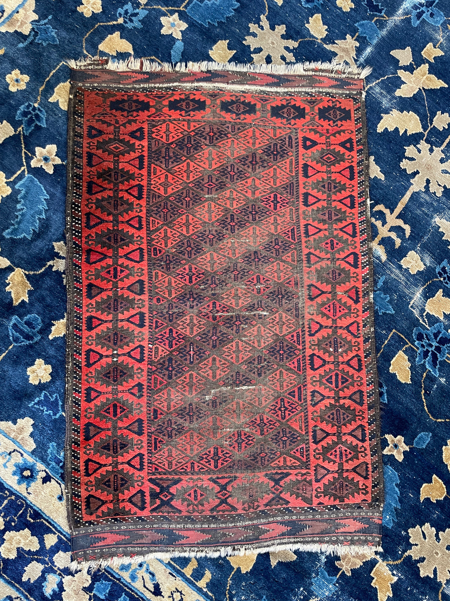 Antique Baluch Rug / 2'9 x 4'4 Rug #3101 – Blue Parakeet Rugs