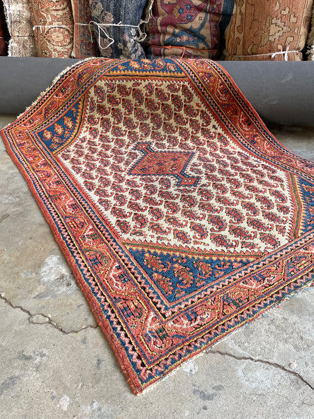 Small Persian Rug / 3'6 x 4'11 Antique Persian #3383