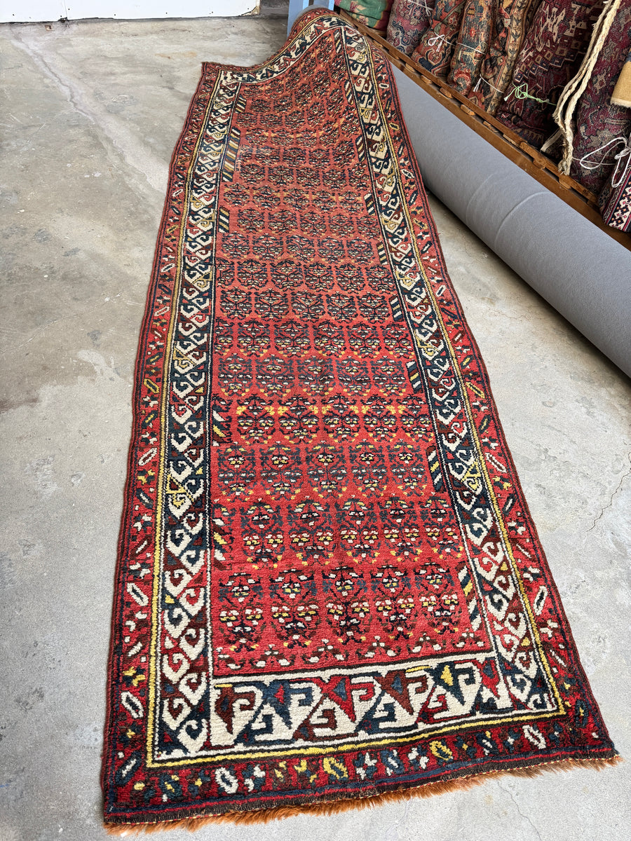 Antique Persian Kurdish Runner Rug / 4x12 Brick Red Allover Shrub