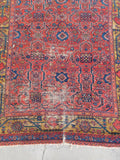 5'2 x 6' Antique Persian Square rug #1340 / 5x6 Vintage rug - Blue Parakeet Rugs