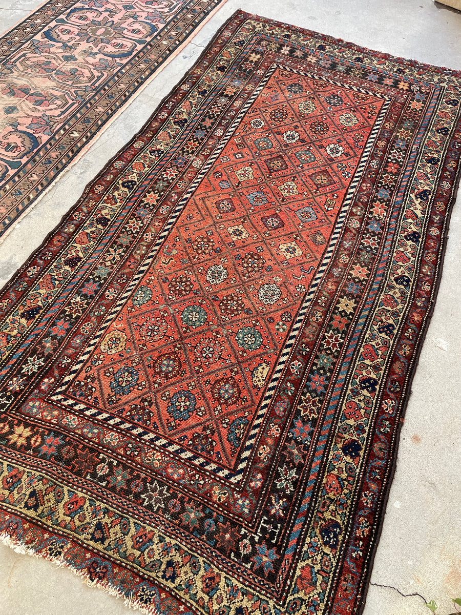 IMG_7083_99875820-2fa9-4bdb-