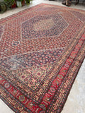 9'9 x 14'9 Antique oversize rug #2025 / 10x15 Vintage Rug - Blue Parakeet Rugs