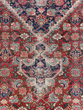 9'9 x 14'9 Antique oversize rug #2025 / 10x15 Vintage Rug - Blue Parakeet Rugs
