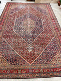 9'9 x 14'9 Antique oversize rug #2025 / 10x15 Vintage Rug - Blue Parakeet Rugs