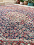 9'9 x 14'9 Antique oversize rug #2025 / 10x15 Vintage Rug - Blue Parakeet Rugs