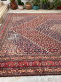 9'9 x 14'9 Antique oversize rug #2025 / 10x15 Vintage Rug - Blue Parakeet Rugs