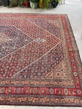 9'9 x 14'9 Antique oversize rug #2025 / 10x15 Vintage Rug - Blue Parakeet Rugs