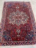 5x7 Floral Persian Vintage Rug