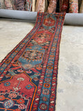 3'1 x 13'10 Antique Persian Runner #681 / 3x14 Vintage Runner