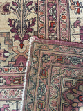 Antique Indian Agra Rug / 10x14 Rug #4577ML
