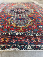 Botanical motifs in decorative border bands of Bakhtiari rug.