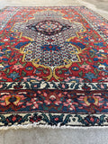 Botanical motifs in decorative border bands of Bakhtiari rug.