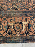 1920s Bibikabad rug showcasing turtle motifs and strong border definition.