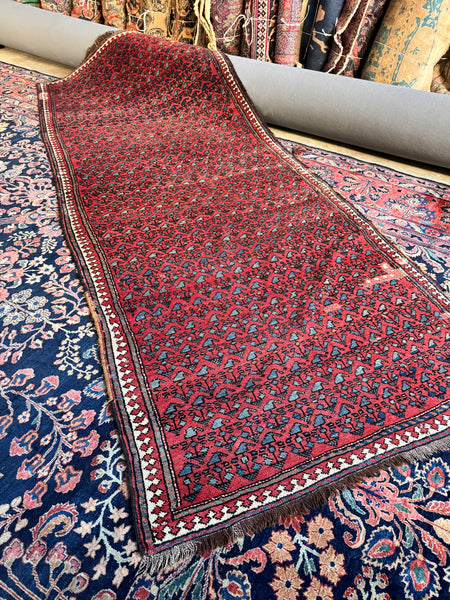VINTAGE RUNNERS – Blue Parakeet Rugs