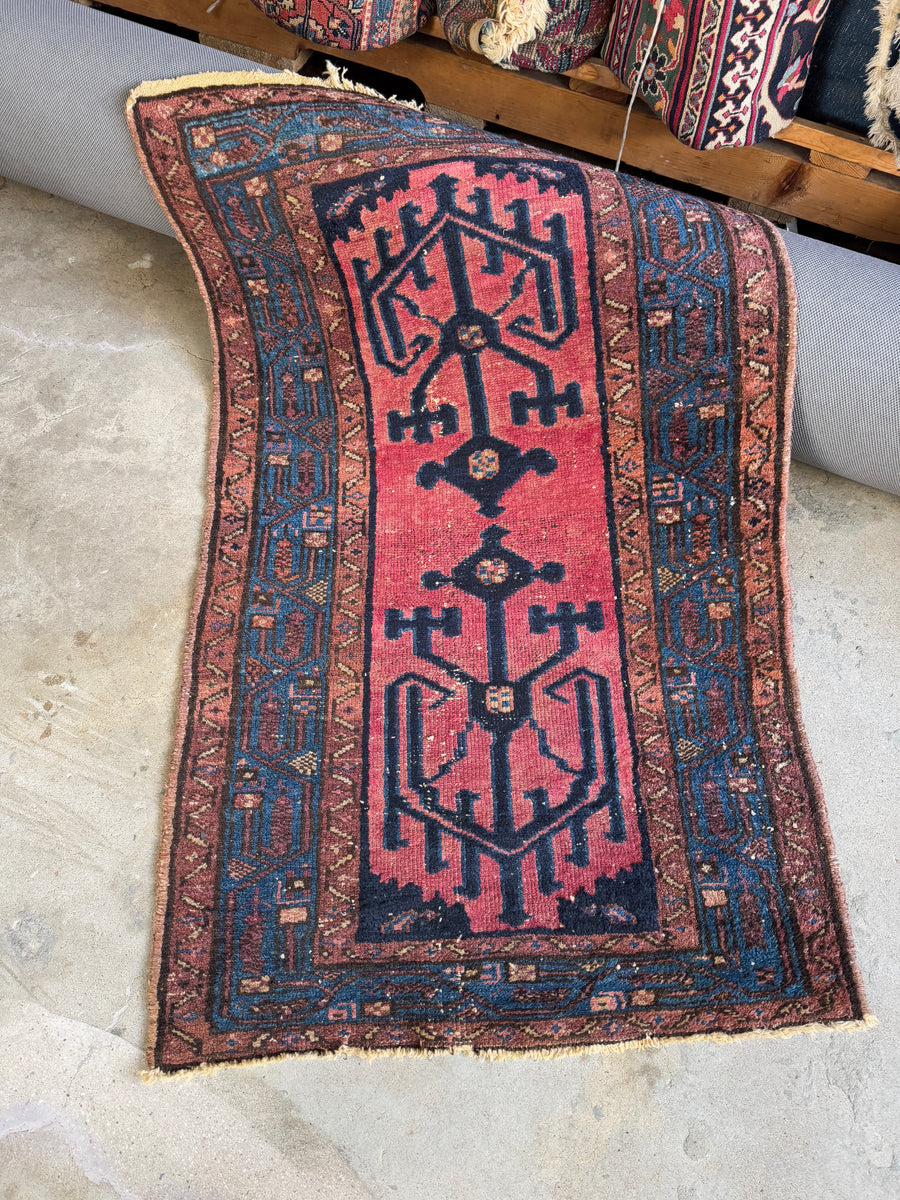 Small Persian Malayer Rug / 2’7 x 4’ Antique Rug #3769 – Blue Parakeet Rugs