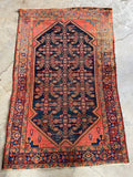 4x6 Coral and Teal Persian Malayer Rug #3214