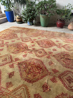 10x12 Vintage Rug / Antique Donegal Oushak Rug #2512