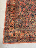 10x13 Antique Persian Sarouk on Wild Salmon Ground #3061