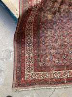 small rug