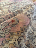 Antique Indian Agra Rug / 10x14 Rug #4577ML