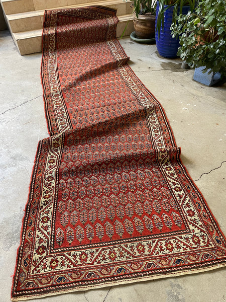 Rug Runner / Vintage Runner