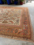9x13 rug