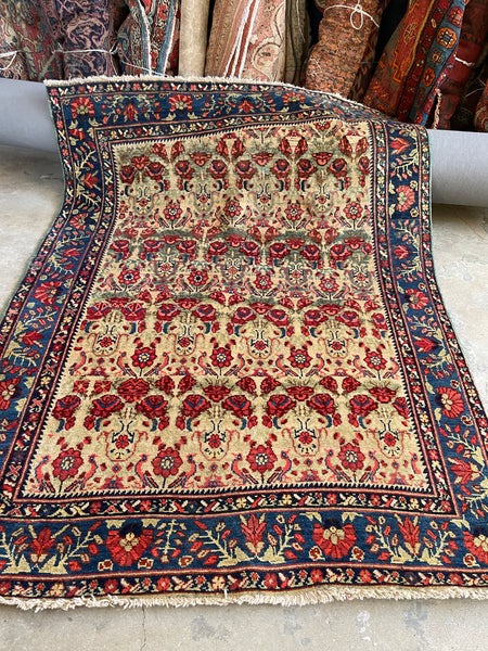 5x7 vintage rug