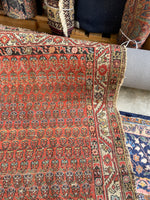 4' x 7'3 Antique Persian Malayer Rug #3040