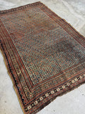 Antique Afshar rug laid flat showing overall pattern continuity from field to border.