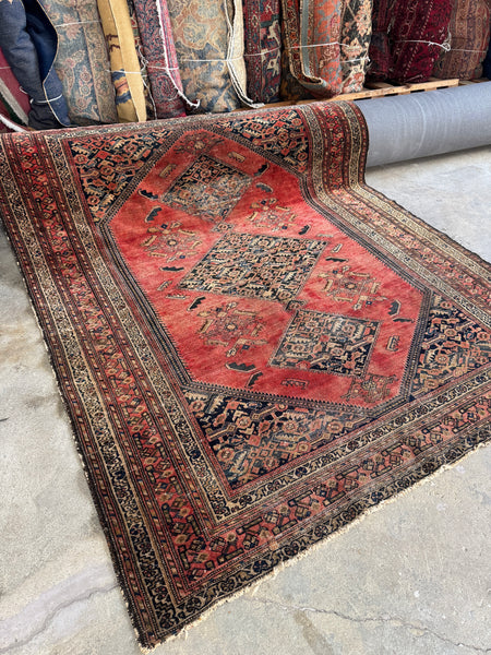 Rare square-shaped tribal Persian Afshar rug on display.