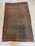 Full view of late 19th century Afshar tribal rug with small scale diamond field and rich earthy tones.