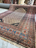 Fish and Turtle Design Antique Persian Rug / 4'5 x 6' Rug #3804