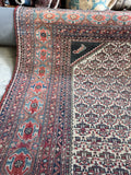 Fish and Turtle Design Antique Persian Rug / 4'5 x 6' Rug #3804