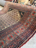 Fish and Turtle Design Antique Persian Rug / 4'5 x 6' Rug #3804