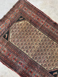 Fish and Turtle Design Antique Persian Rug / 4'5 x 6' Rug #3804