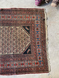 Fish and Turtle Design Antique Persian Rug / 4'5 x 6' Rug #3804