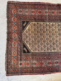 Fish and Turtle Design Antique Persian Rug / 4'5 x 6' Rug #3804