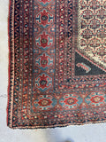 Fish and Turtle Design Antique Persian Rug / 4'5 x 6' Rug #3804
