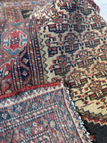Fish and Turtle Design Antique Persian Rug / 4'5 x 6' Rug #3804