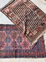 4x6 wool rug