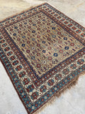 Antique Caucasian wool rug with powerful tribal artistry and warm wheat field.