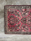 Symmetrical floral Sarouk rug with dainty border bands.