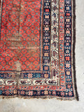 Corner view of vegetable-dyed Persian terracotta rug displaying a delicate geometric trellis pattern and navy borders.
