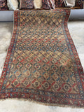 Antique Persian Bidjar rug, early 1900s hand knotted wool area rug with repeating eight-pointed stars, vegetable dyed wool, and beautiful age-earned patina.