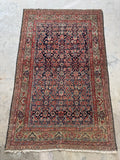 Navy field and pistachio green botanical border on antique Mahal rug.