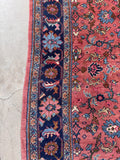 Room size antique Persian carpet in coral rose anchored by a deep indigo blue floral frame.