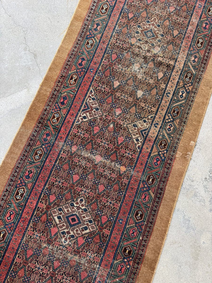 20 Foot Skinny Narrow Persian Runner / 2’9 x 20’ Camel Hair Runner #42 ...